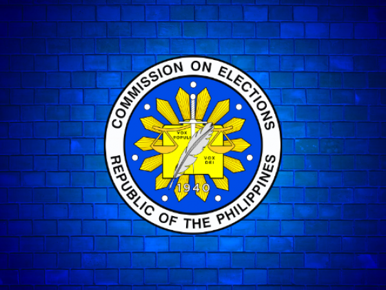 Inting designated as Comelec acting chair; divisions reorganized