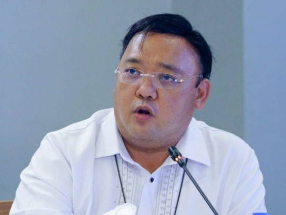 Lawmakers must have knowledge, convincing prowess: Roque