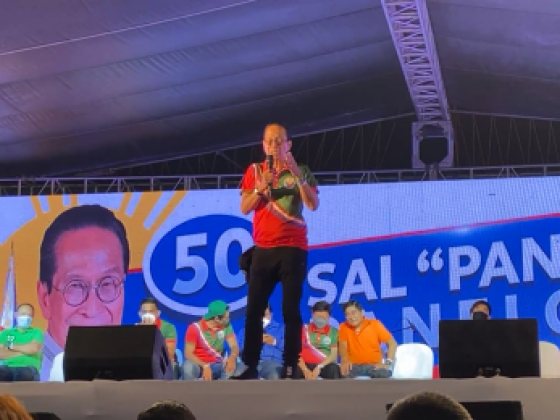 Panelo vows to ease plight of PUV drivers
