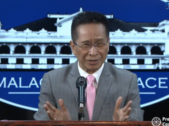 Senatorial hopeful Panelo favors same-sex union, divorce