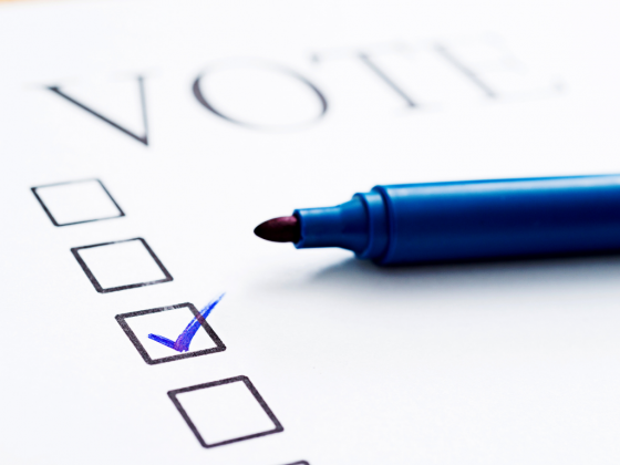 Voter’s Beginners Guide: The Best Political Candidate Choice