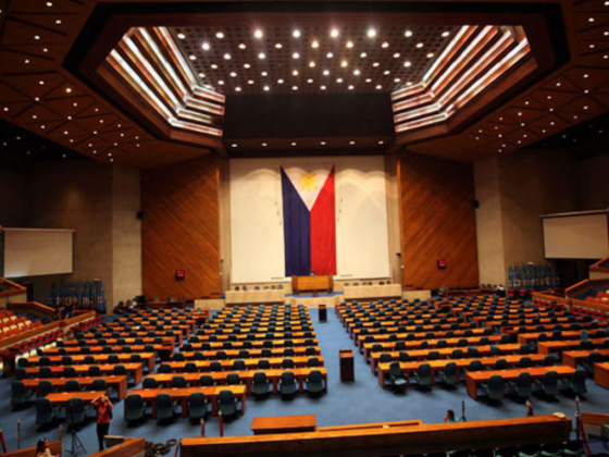 What is the Role of a Senator?