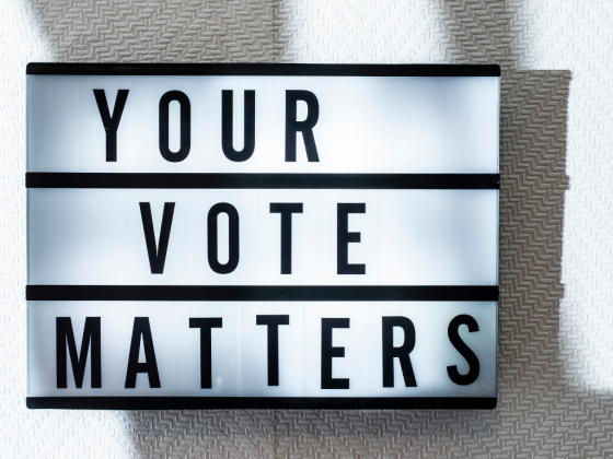 Why should I even vote?