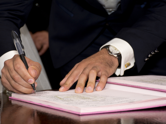 What are the Duties of a City or Municipal Mayor?