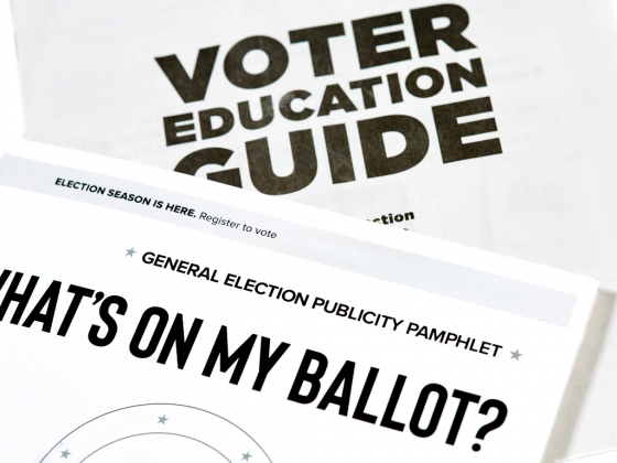 Why is voters’ education so important?